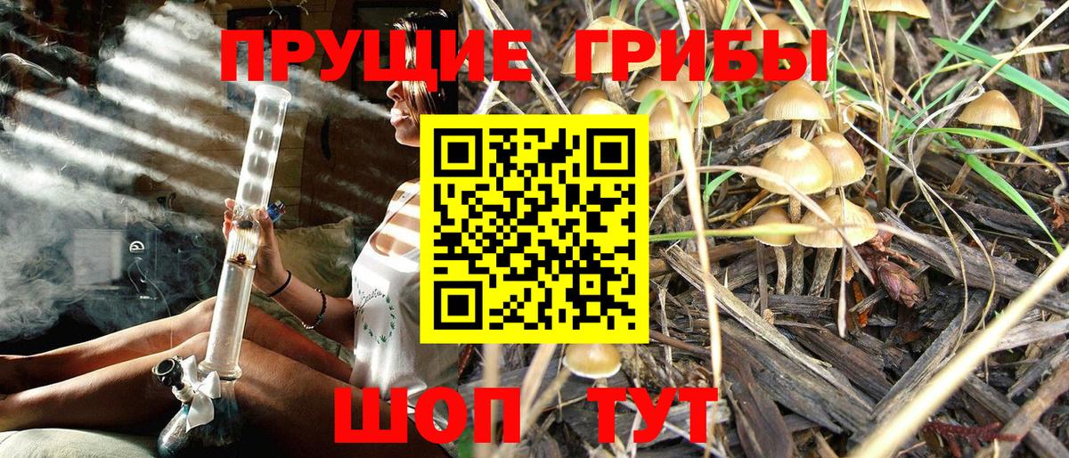 Михайловка  Псилоцибиновые грибы GOLDEN TEACHER  где можно купить наркотик  Вход с VPN 