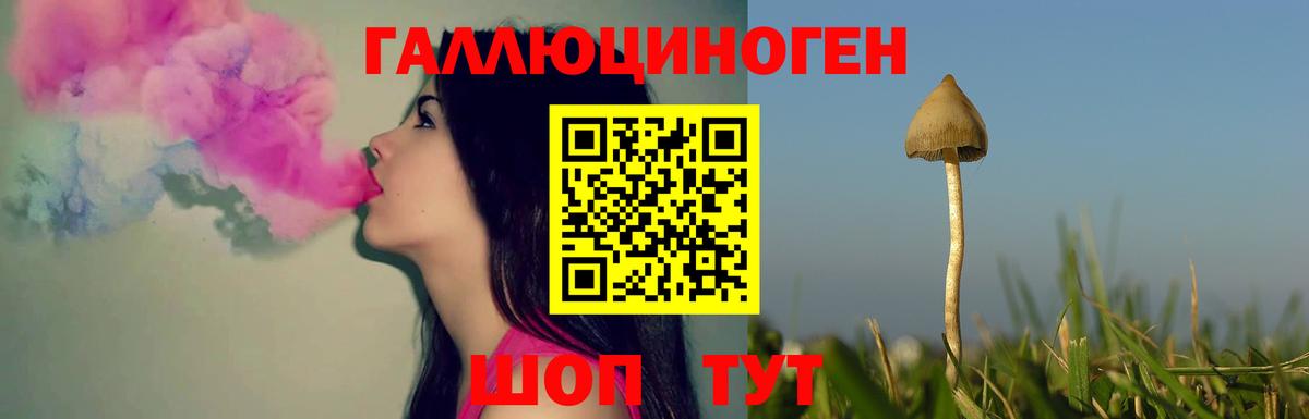 Галлюциногенные грибы GOLDEN TEACHER Михайловка